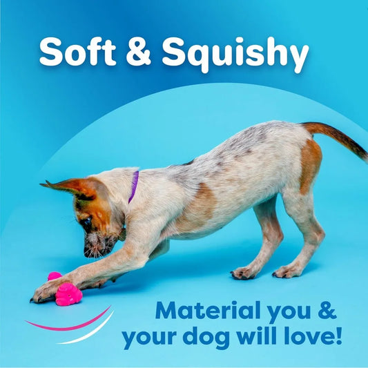 Bone Squeaky Dog Toy
