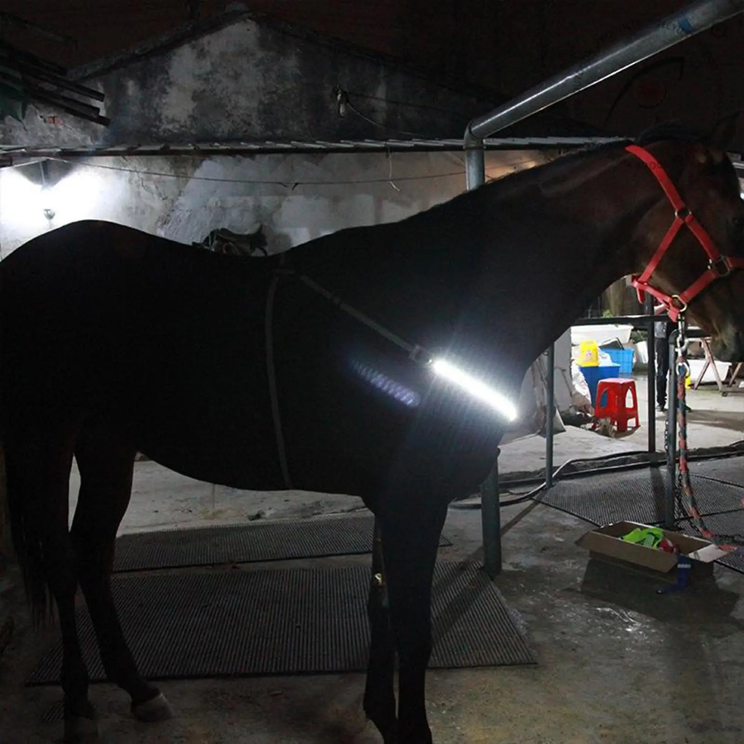 USB LED Horse Breast Plate Collar Adjustable Safety Bridle Halter