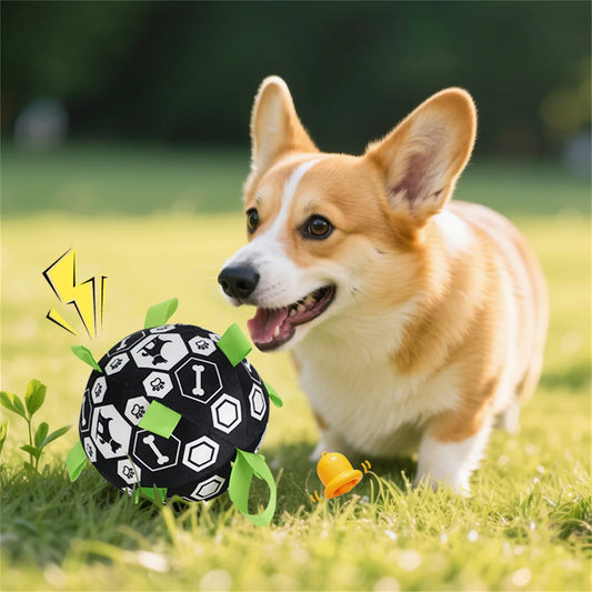 Pet Bell Sound Toy