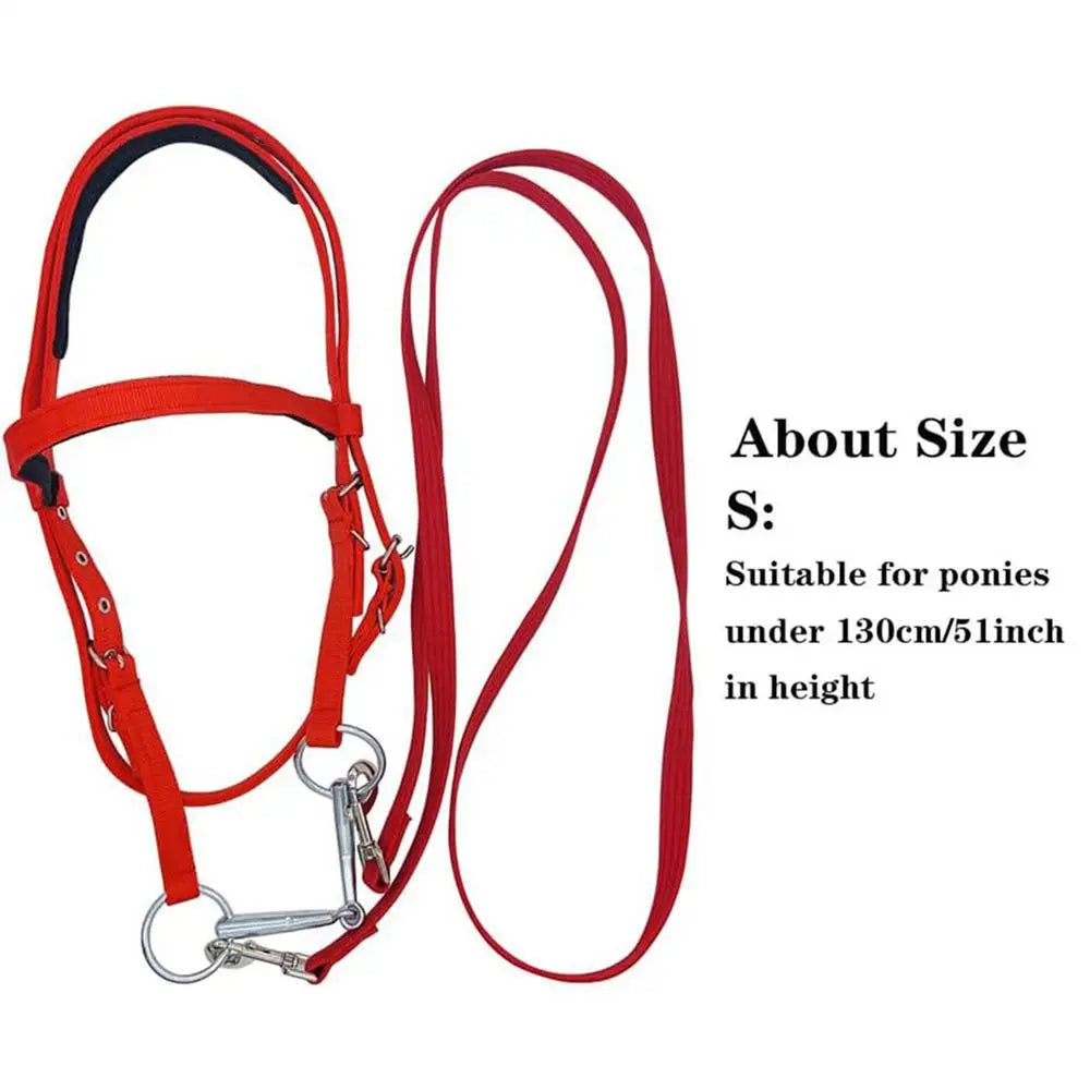 Horse Bridle Adjustable Snaffle Noseband and Reins