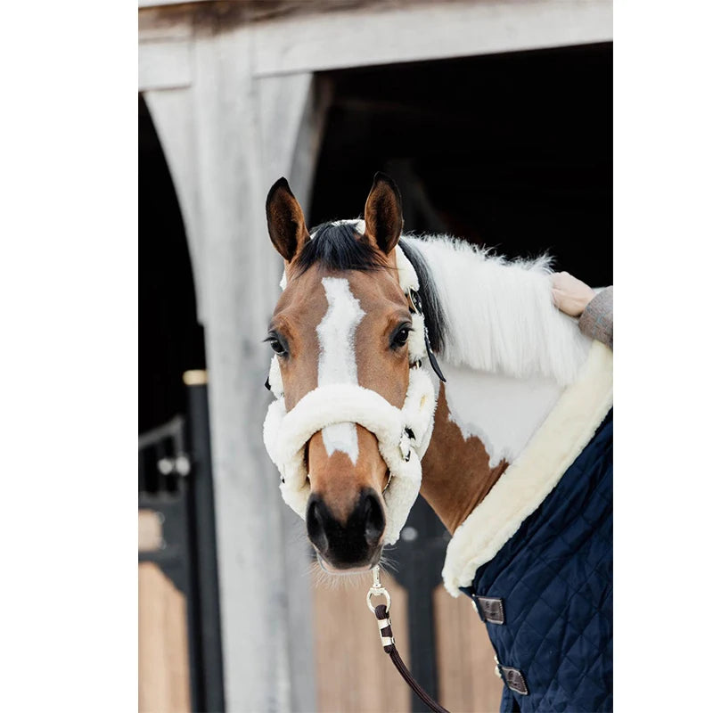 Fleece horse bridle