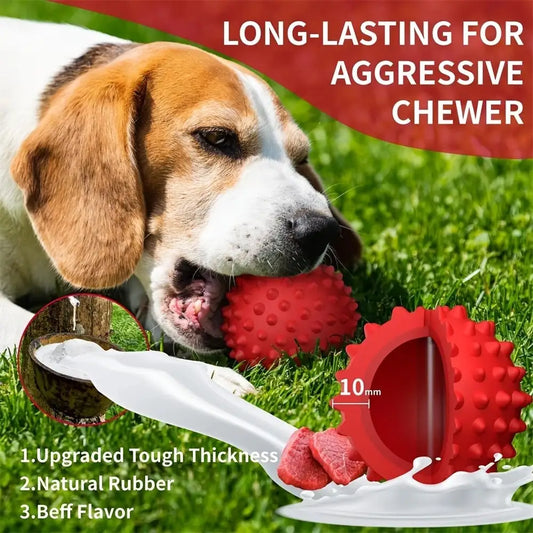 2 Pack Dog Balls