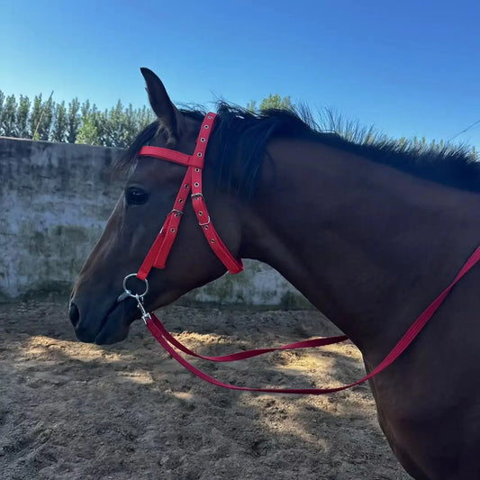 Horse Bridle Harness Set