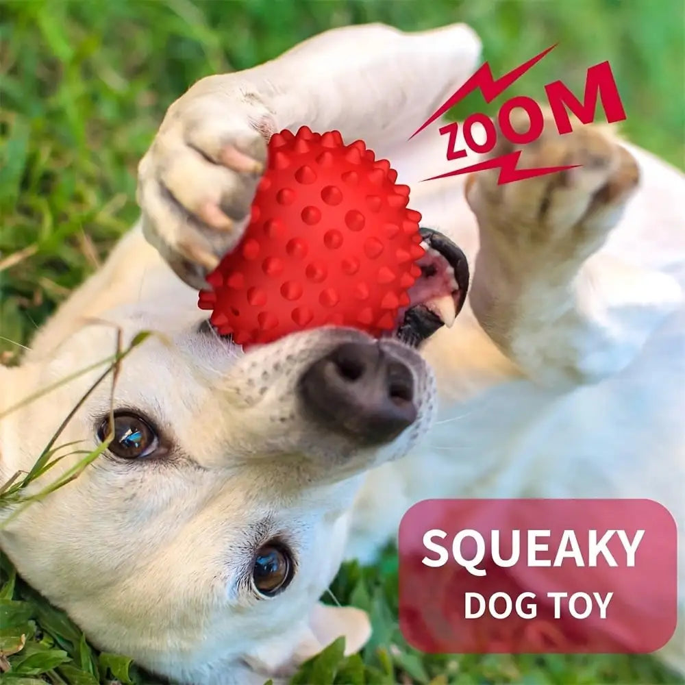 2 Pack Dog Balls