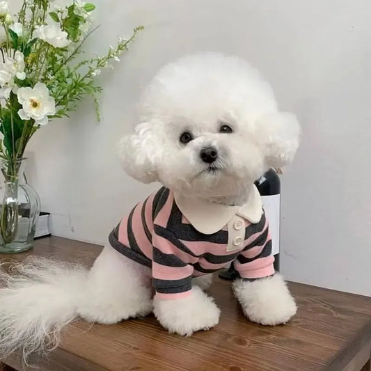 Summer Polo Shirt