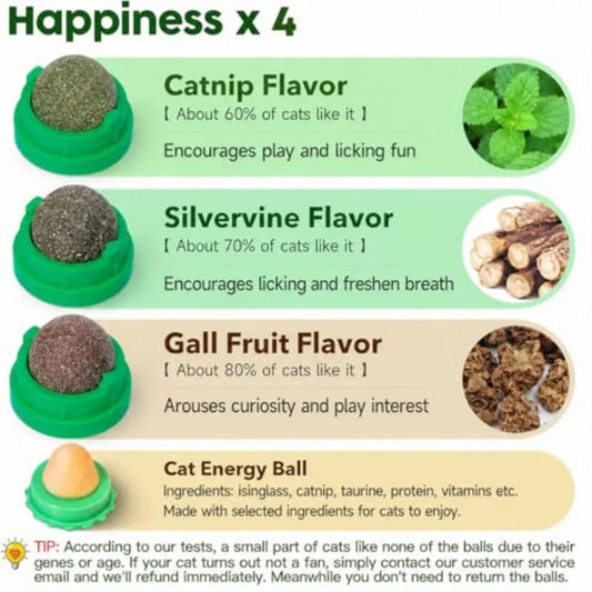 Catnip Toys Balls 4 Pcs
