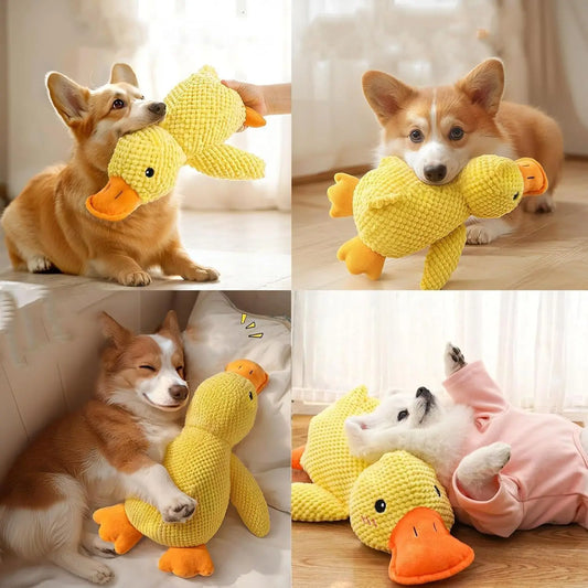 Duck dog toy