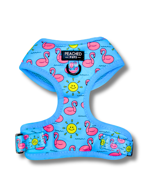 Flocktail Hour  - Adjustable Dog Harness
