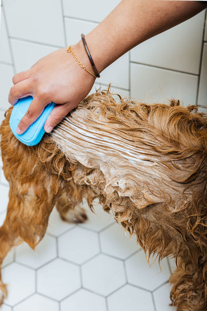 "Spaw" Day (Dog Shampoo & Conditioner Duo)