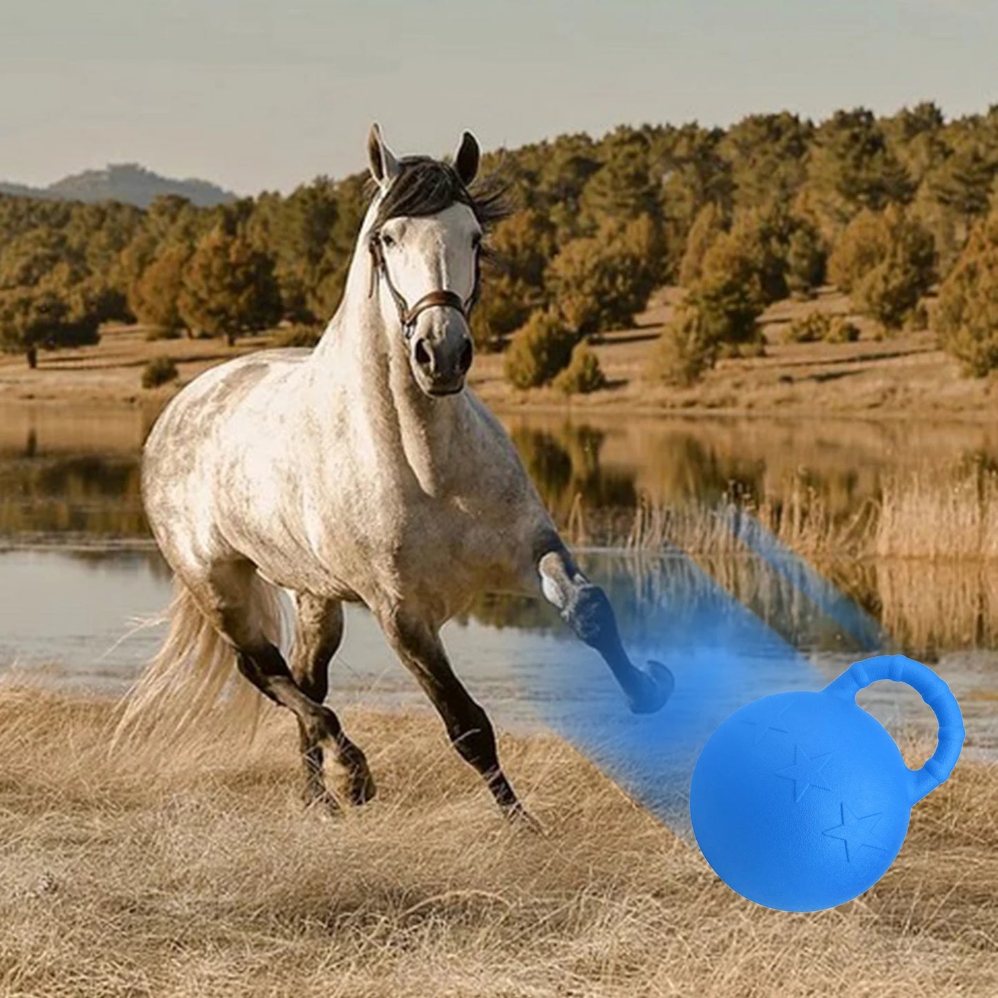 Horse Rubber Equine Chew Ball