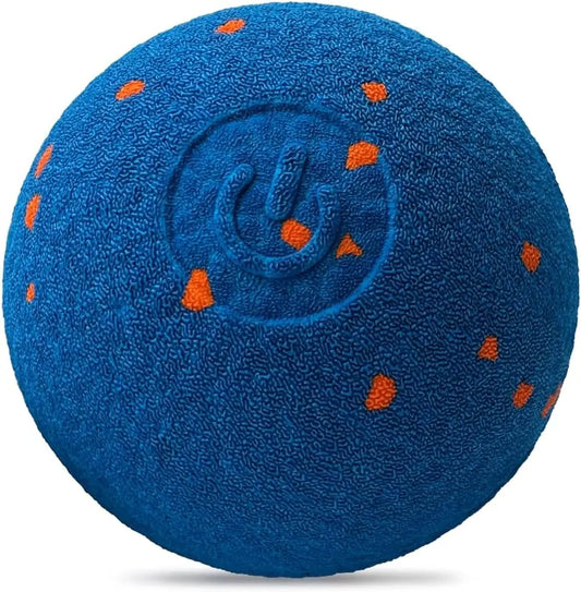 Dog Ball Toy, Blue