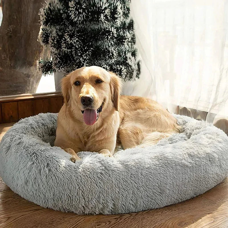 Round Beds