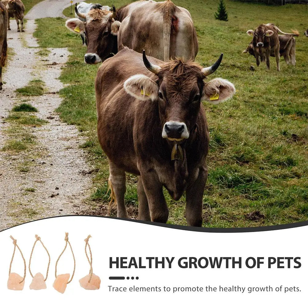4 Pcs Natural Pink Salt Lick Block For Horse Cattle Deer Goat Farm Animals Mineral Supplement Healthy Treats Bulk