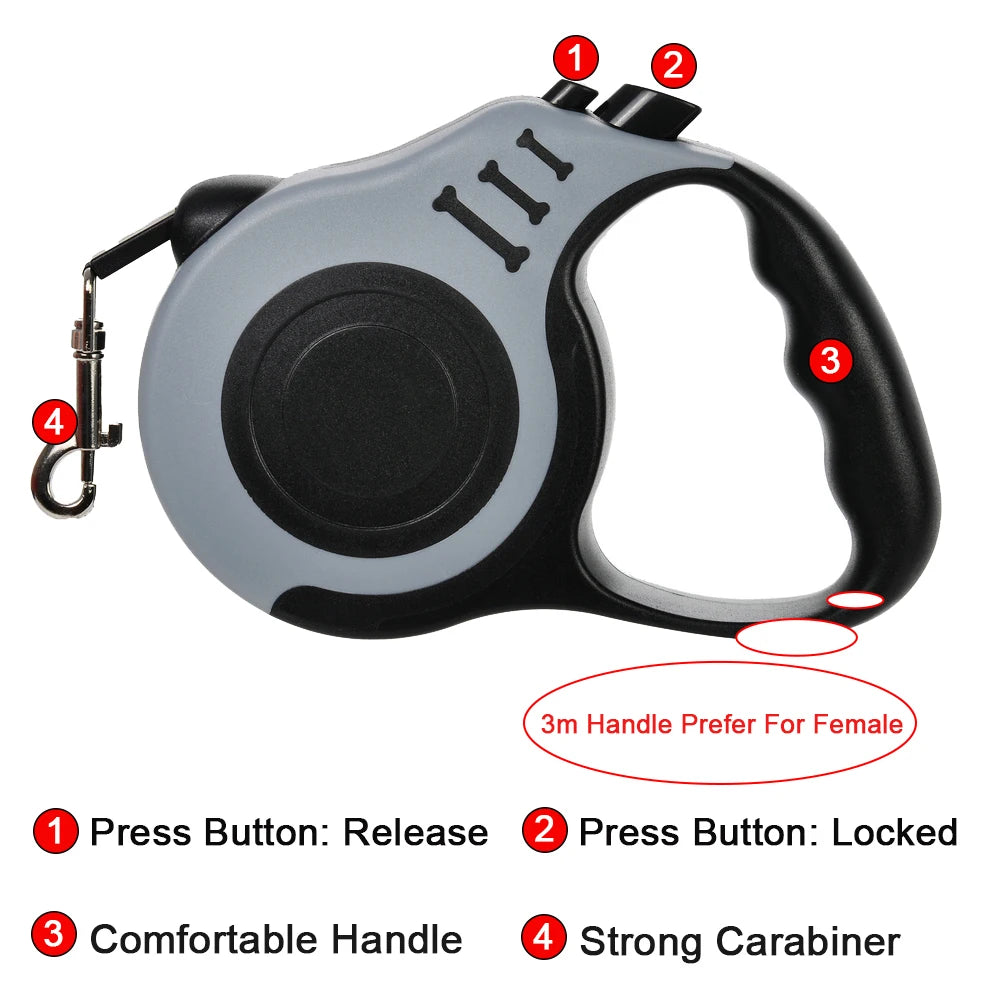 Dog Leash