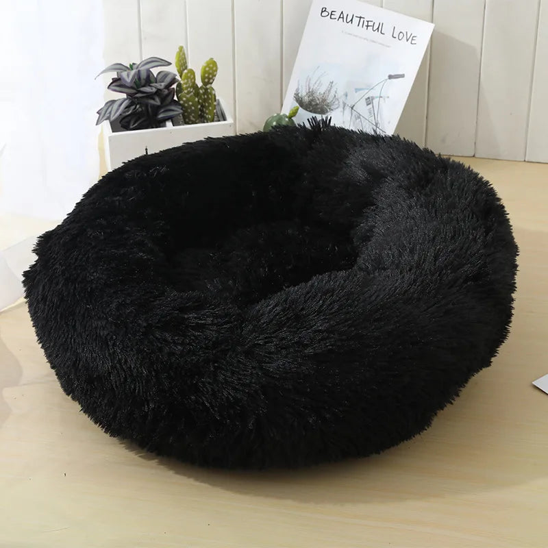Round Beds