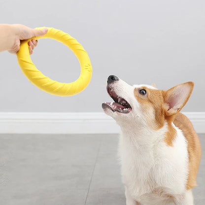 Dog Ring Toys