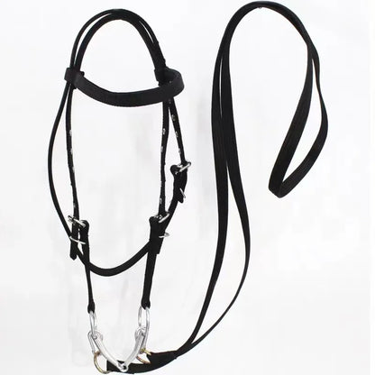 Horse Bridle Harness Set