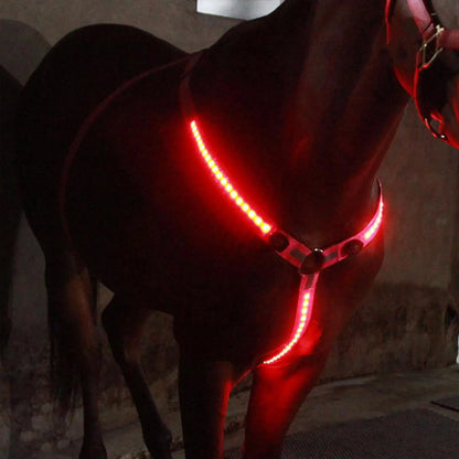 USB LED Horse Breast Plate Collar Adjustable Safety Bridle Halter