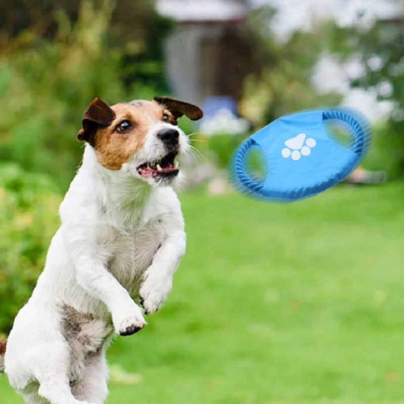 Cotton Rope Dog Interactive Toy