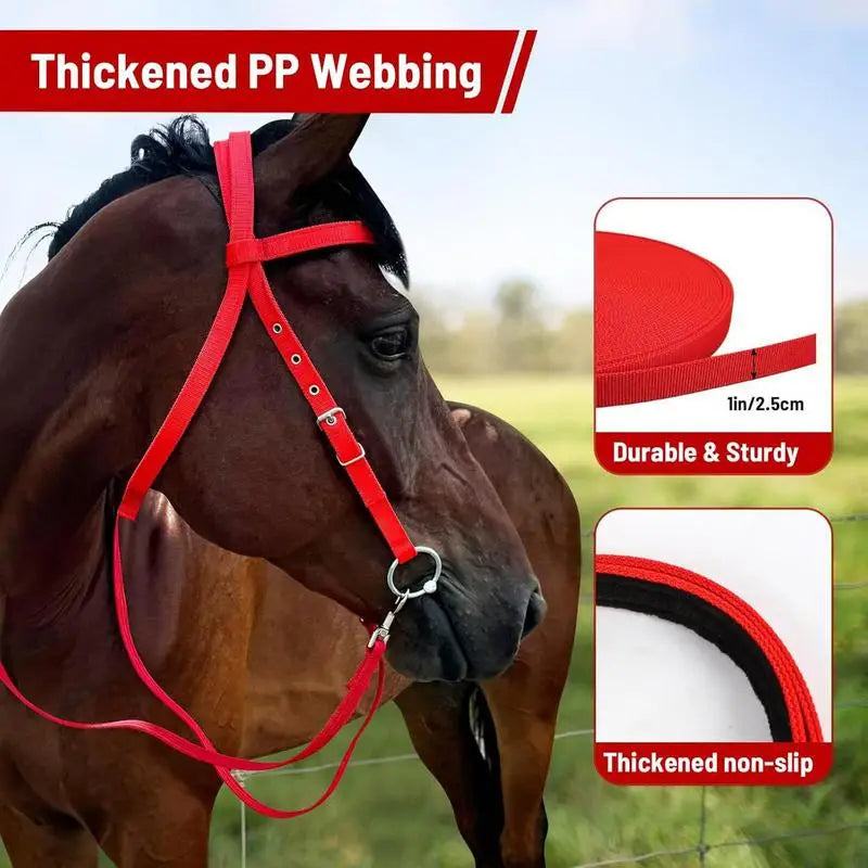 Horse Bridle Adjustable Snaffle Noseband and Reins