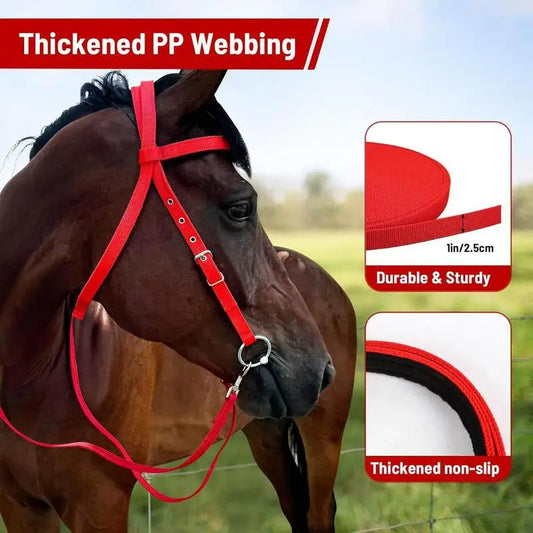 Horse Bridle Adjustable Snaffle Noseband and Reins