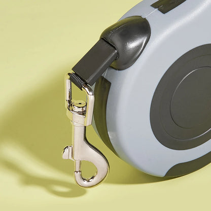 Dog Leash