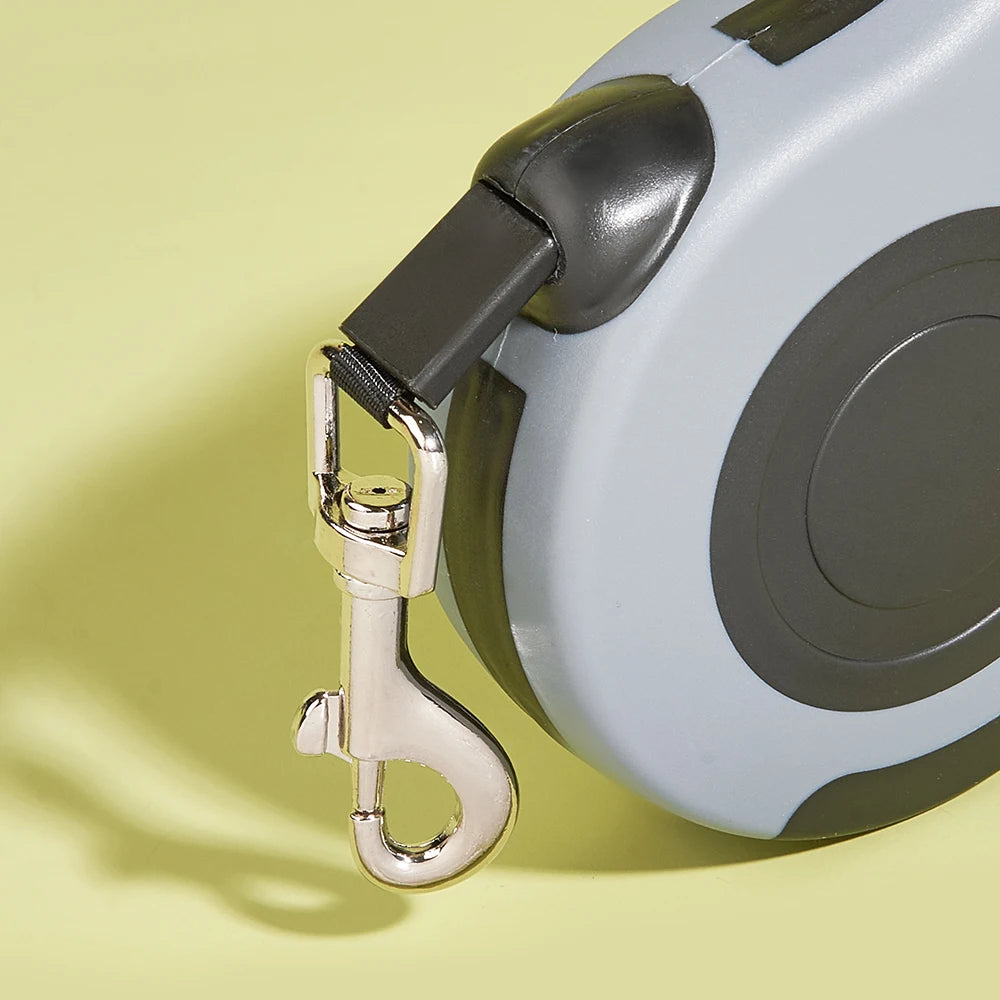 Dog Leash