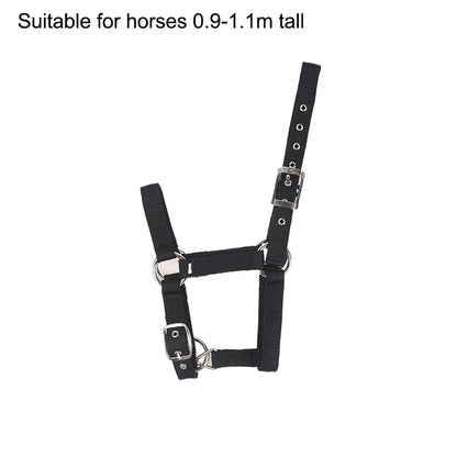 Adjustable Nylon Webbing Equestrian Western Horse Halter