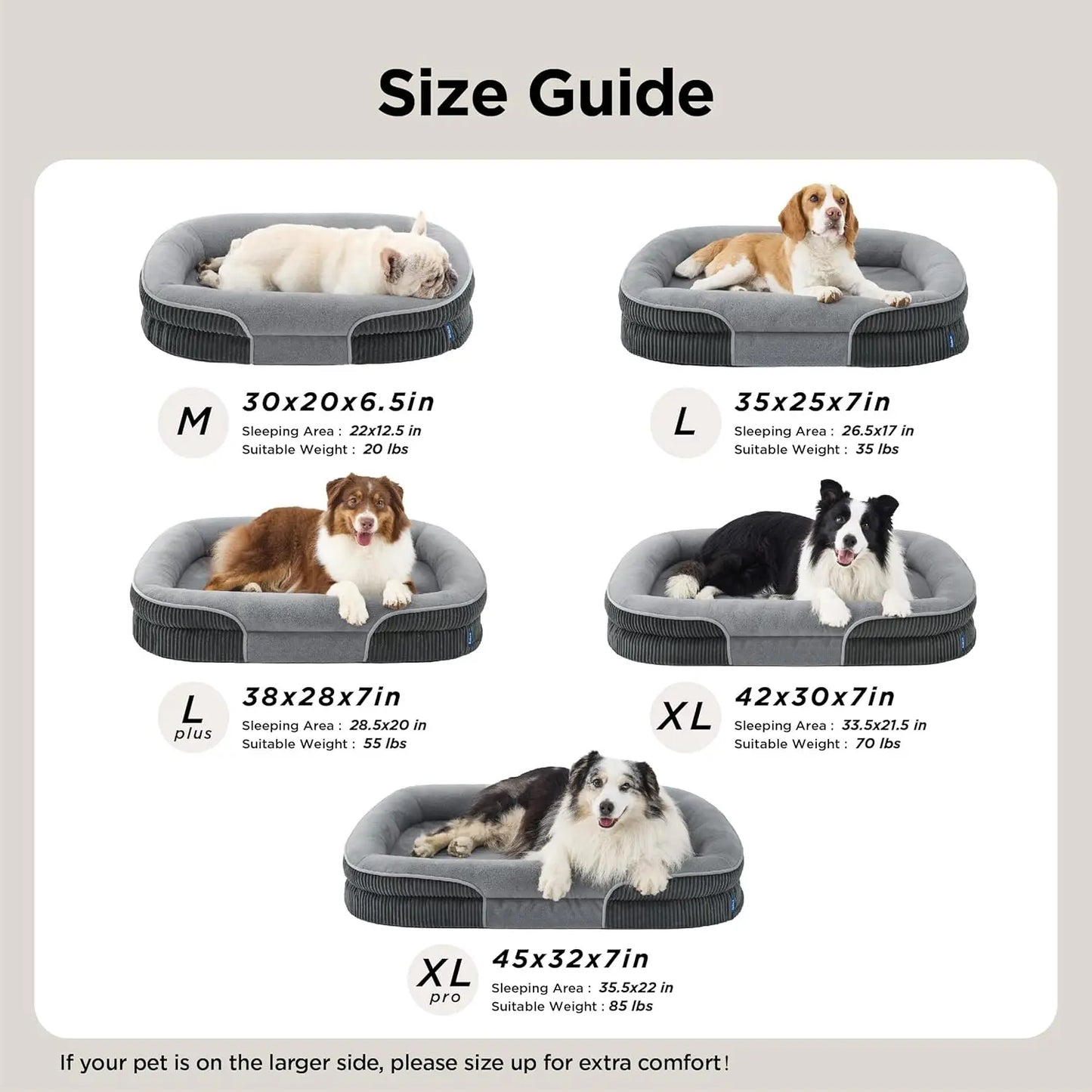 Orthopedic Dog Beds