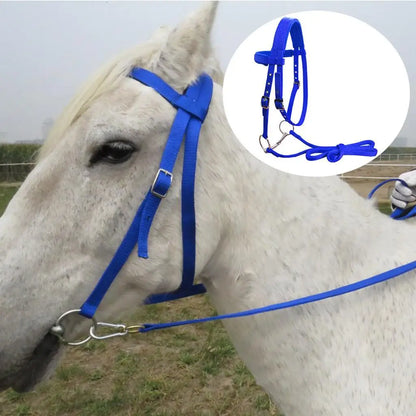 Horse Bridle Rein Harness