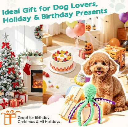 Squeaky Plush Dog Toys