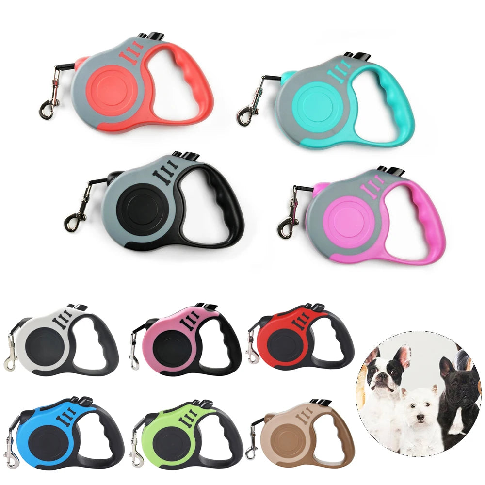 Dog Leash