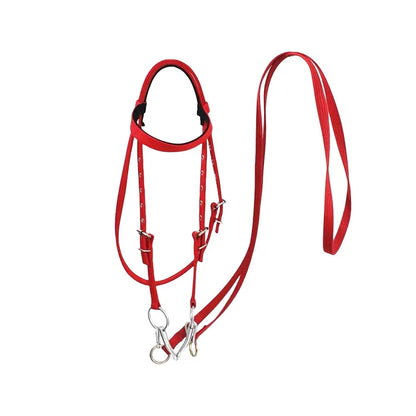 Riding Bridle Reins with Standard Thread Plate
