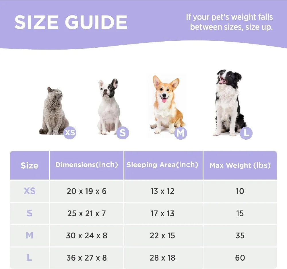 Cute Dog Bed for Small Dogs