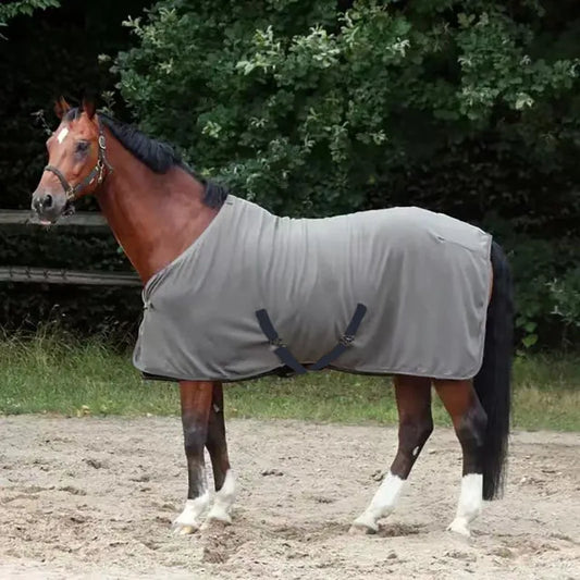 Single Layer Velvet Warm Horse Clothes
