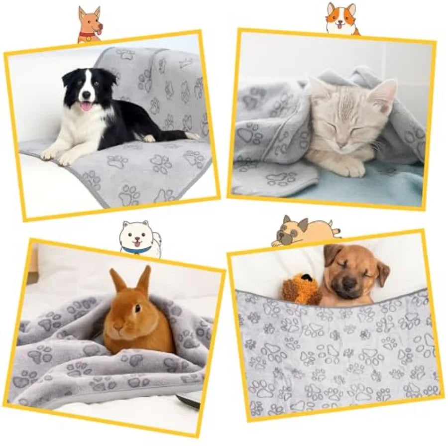 Dog Blankets