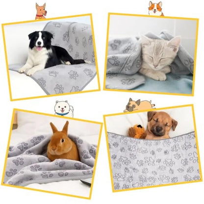 Dog Blankets