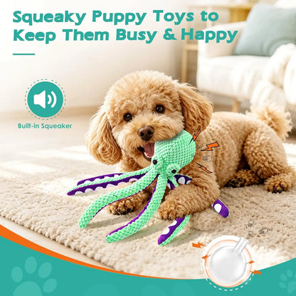 Squeaky Plush Dog Toys