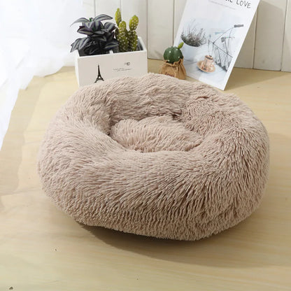 Round Beds