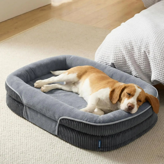 Orthopedic Dog Beds