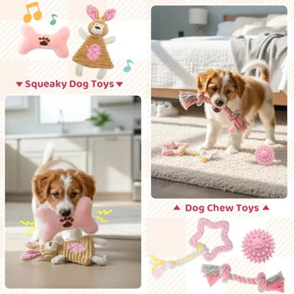 Puppy Supplies Starter Kit