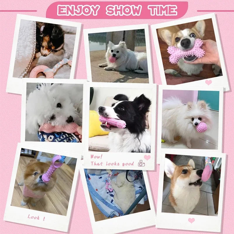 Dog Chew Toys