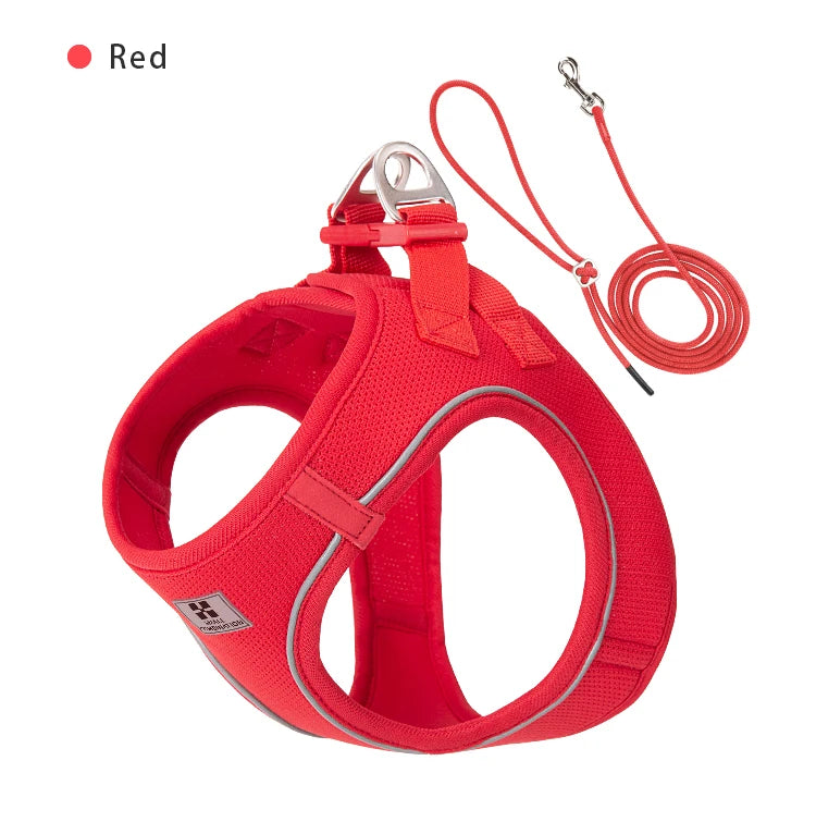 Dog Harness Leash Set