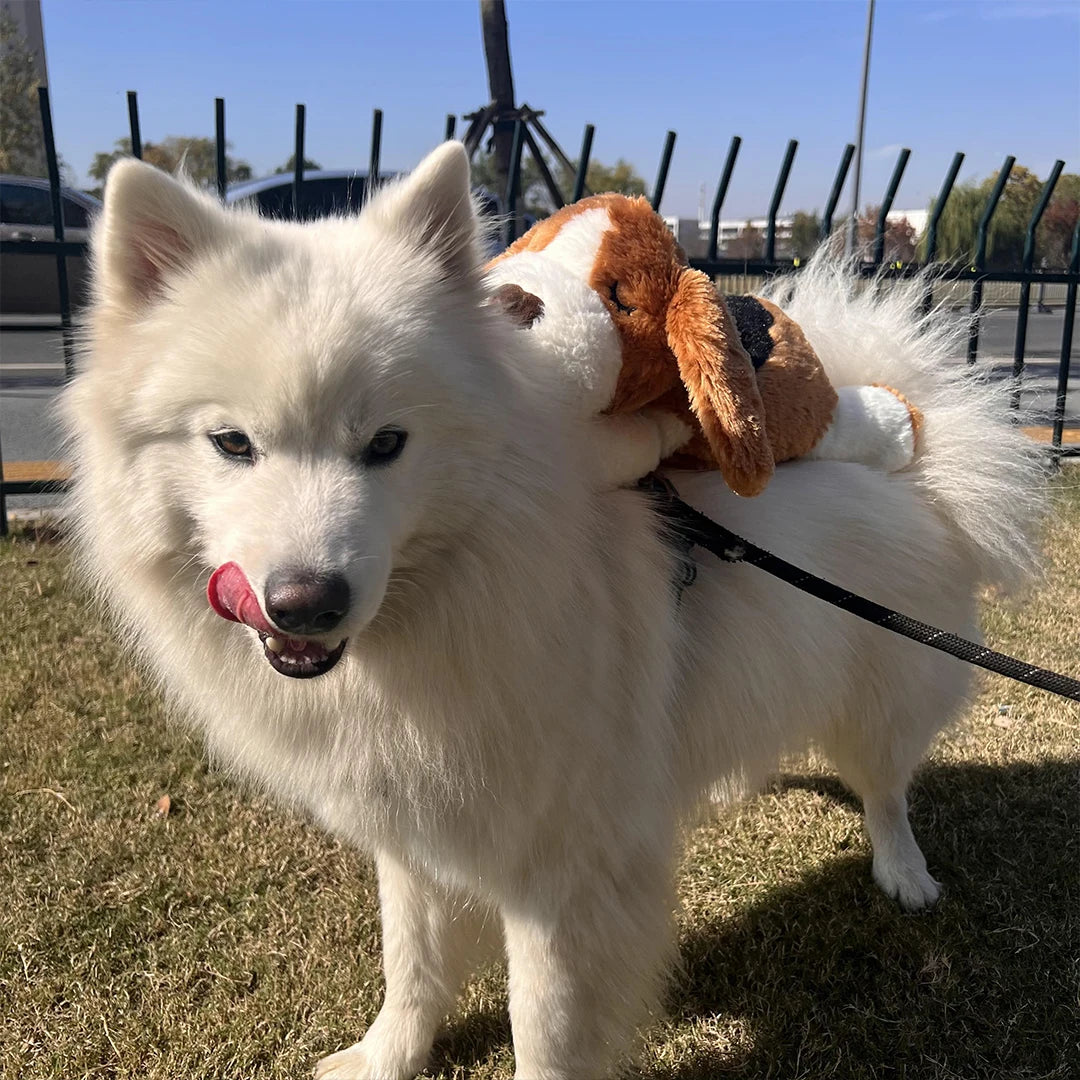 Puppy Dog Heartbeat Toy