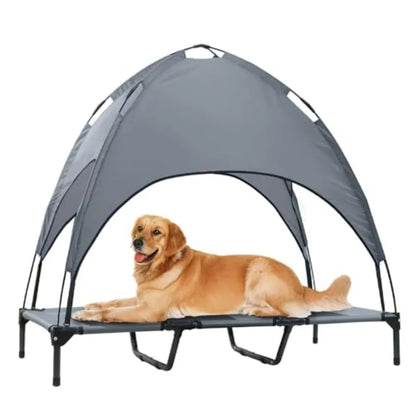 Elevated Dog Bed with Canopy