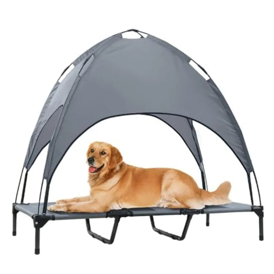 Elevated Dog Bed with Canopy