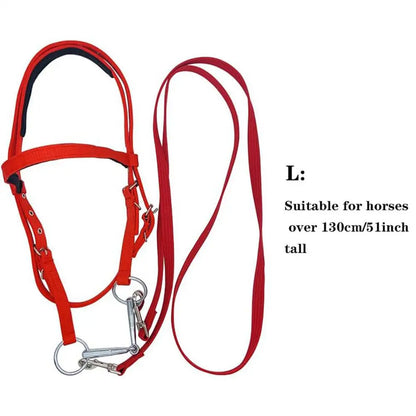 Horse Bridle Adjustable Snaffle Noseband and Reins