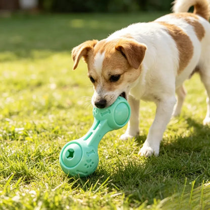 Dog Chew Toy