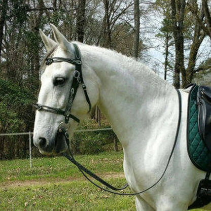 PU Leather Horses Bridle Halters