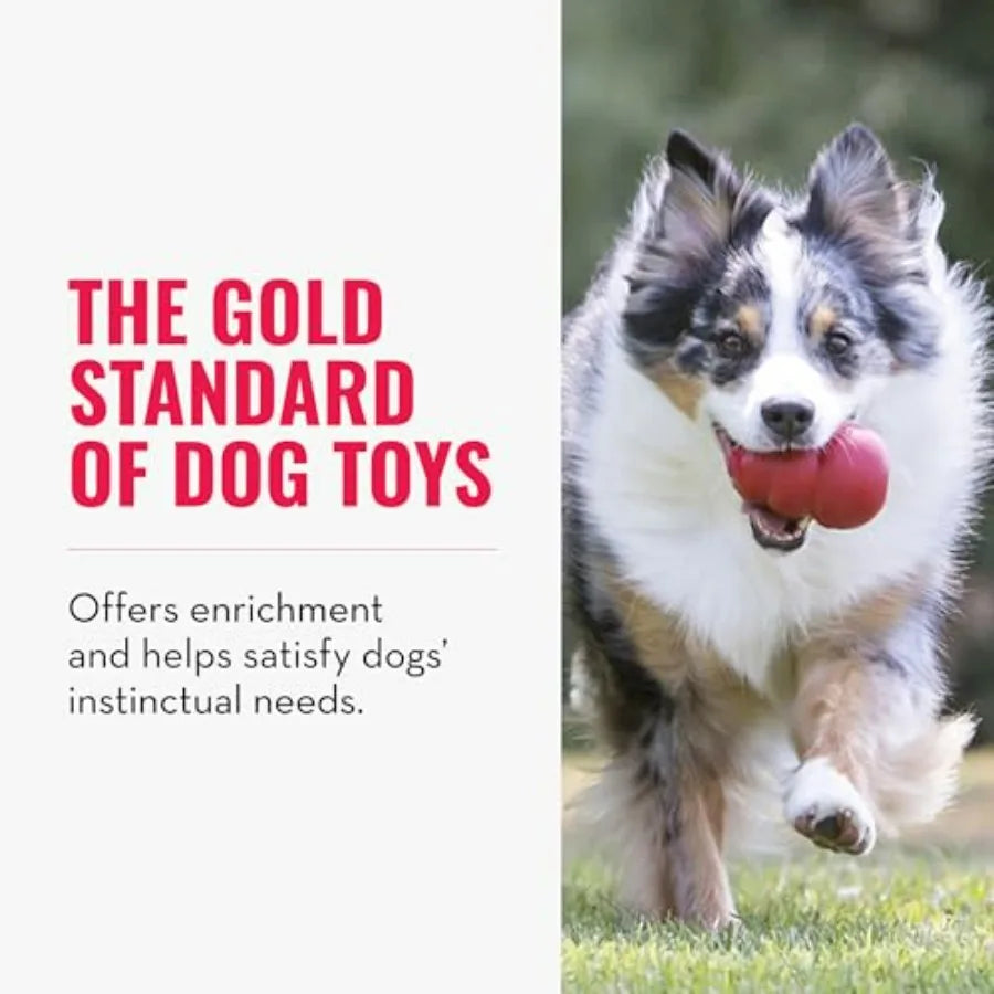 Classic Stuffable Dog Chew Toy